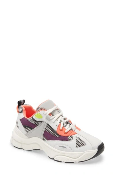 Topshop Camber Sneaker In White/ Purple/ Coral