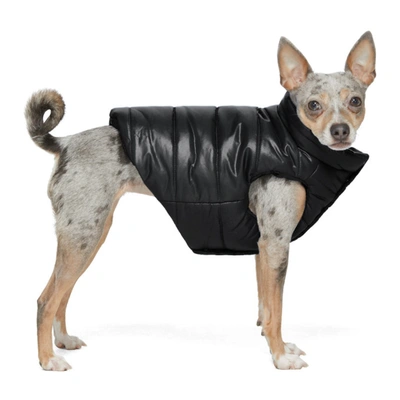 Moncler Genius Black Poldo Dog Couture Edition Insulated Jacket In 999 Black