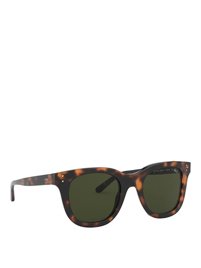 Polo Ralph Lauren Tortoiseshell Wayfarer Sunglasses In Brown