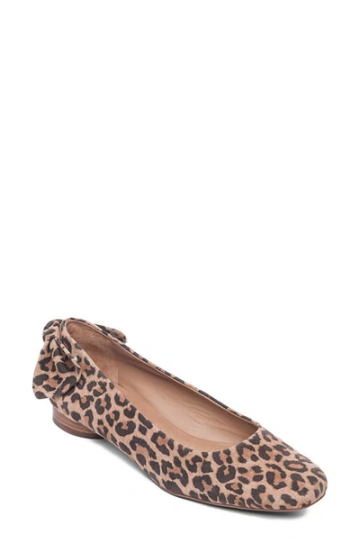 Bernardo Eloise Cheetah Suede Ballerina Flats In Sand Cheetah Print Suede