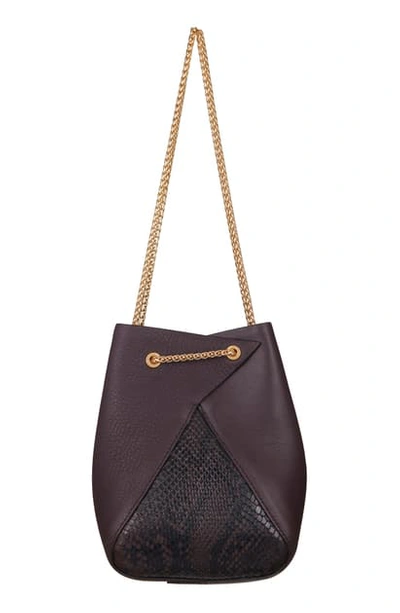 The Volon Mini Mani Snake Embossed Panel Shoulder Bag In Chocolate