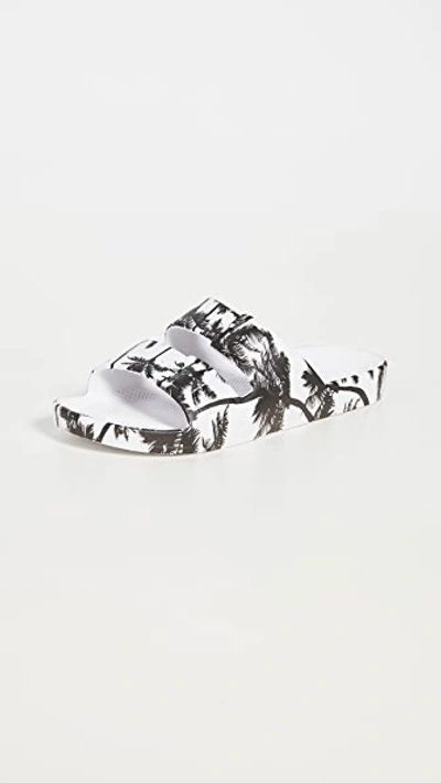 Freedom Moses Palm Tree Printed Slide Sandals In Paradiso