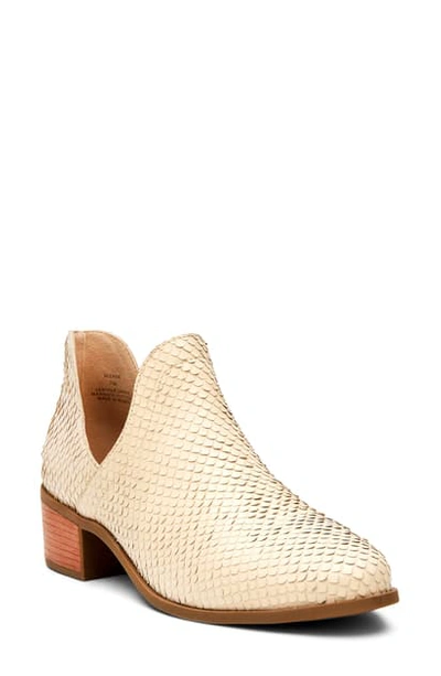Matisse Seeker Textured Bootie In Ivory Leather