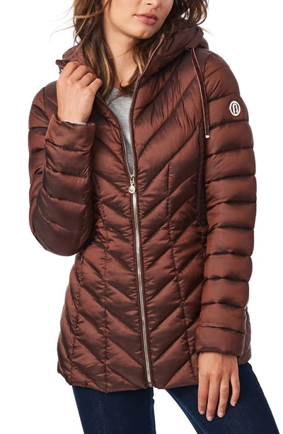 Bernardo Asymmetrical Channel Quilted Jacket With Hooded Bib Inset In Espresso