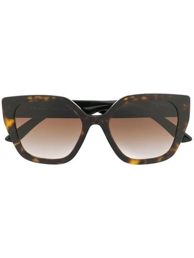 Prada Square Frame Sunglasses In Brown