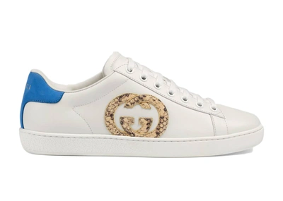Pre-owned Gucci Ace Interlocking Gg Snake (women's) In White/beige/blue