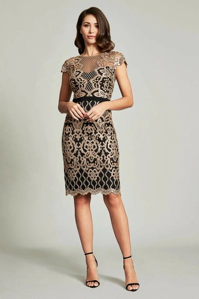 tadashi shoji miranda sequin embroidered dress Tadashi Shoji Miranda Sequin Embroidered Dress