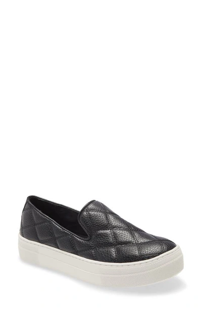 Steve Madden Women's Globe Quilted Sneakers In Black