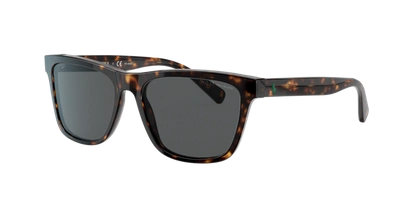 Polo Ralph Lauren Ph4167 Shiny Dark Havana Sunglasses In Polar Grey