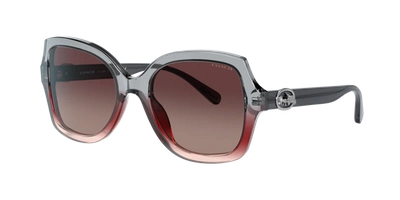 Coach Burgundy Grey Gradient Butterfly Ladies Sunglasses Hc8295f 5620e2 56 In Grey,red