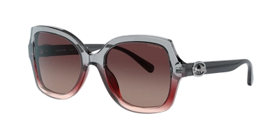 Coach Burgundy Grey Gradient Butterfly Ladies Sunglasses Hc8295f 5620e2 56