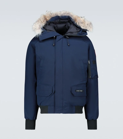 Canada Goose Chilliwack Bomber In Blue