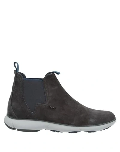 Geox Ankle Boots In Lead