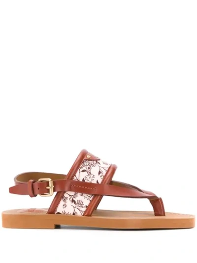 Chloé Floral-detail Sandals In Brown