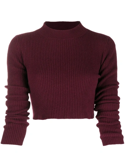 Andamane Gerippter Cropped-pullover In Red