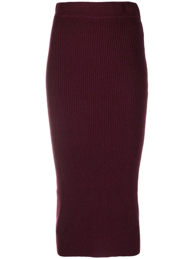 Andamane Ribbed-knit Pencil Skirt In Burgundy