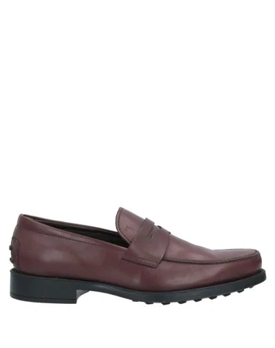 Tod's Loafers In Cocoa