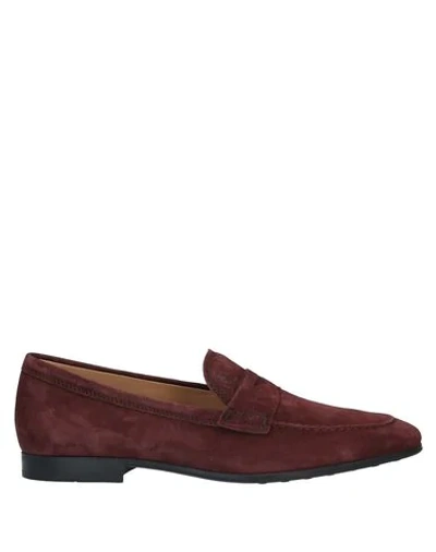 Tod's Loafers In Cocoa
