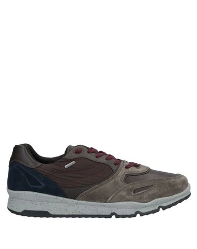 Geox Sneakers In Grey