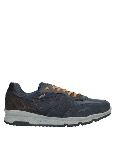Geox Sneakers In Lead
