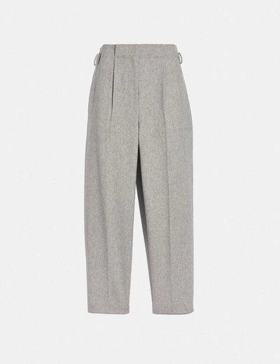 Coach Tailored Pants In Color<lsn_delimiter>grey