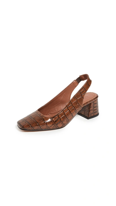 Souliers Martinez Cuenca Croco 50mm Pumps In Coco Chocolate