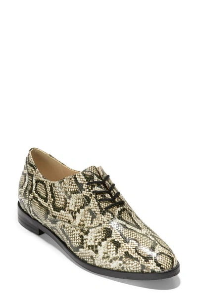 Cole Haan Women's Python-print Leather Oxfords In Python Rama Printed Leather