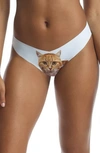 Commando Print Thong In Photo-op Lazy Cat