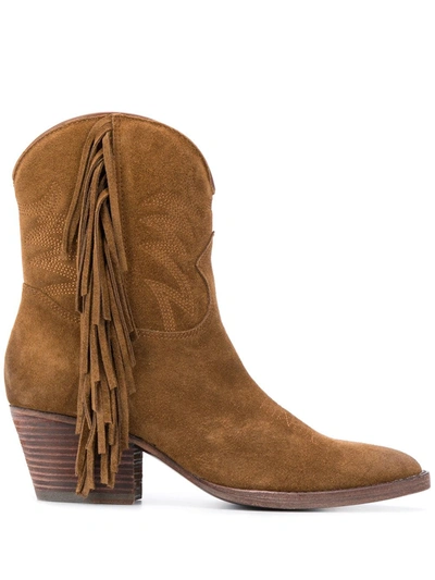 Ash Furious Brown Suede Ankle Boots