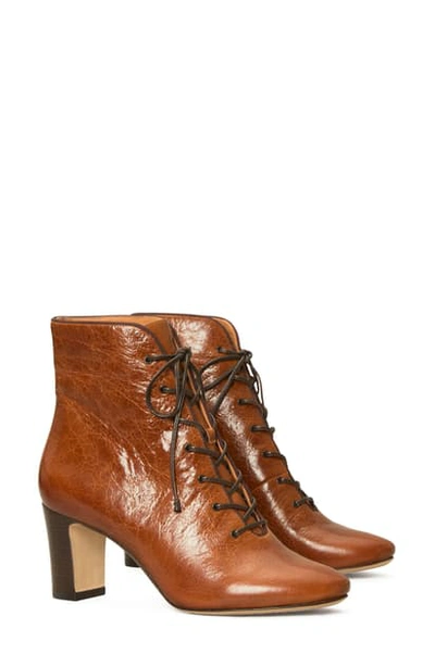 Tory Burch Lace-up Bootie In Syrup/ Coconut