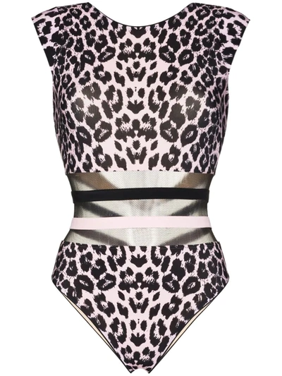 Agent Provocateur Zenaya Mesh Leopard Print Swimsuit In Black