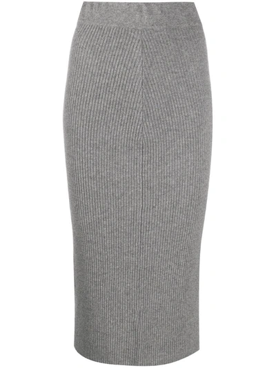 Andamane Ribbed Pencil Skirt In Grey