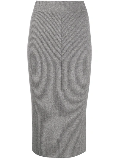 The Andamane Ribbed Pencil Skirt In Grey