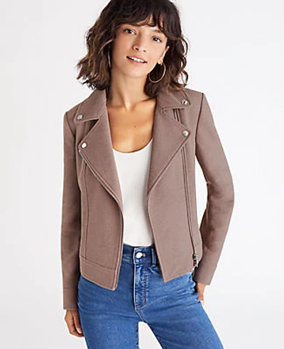 Ann Taylor Tweed Moto Jacket In Faire Taupe