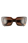 Celine 54mm Cat Eye Sunglasses In Havana/ Brown