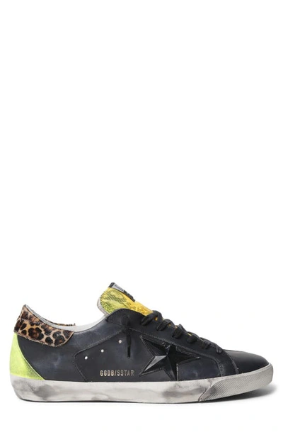 Golden Goose Super Star Sneaker In Multicolor