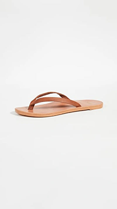 Beek Seabird Flip Flops In Tan