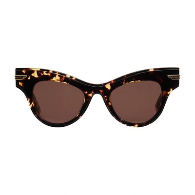 Bottega Veneta Sunglasses Wing In Havana Brown