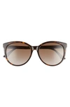 Gucci 56mm Round Sunglasses In Medium Havana/ Brown