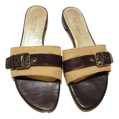 Pre-owned Dolce & Gabbana Cloth Mules In Brown
