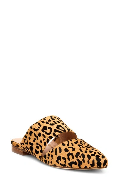 Matisse Berlin Genuine Calf Hair Mule In Tan Leopard