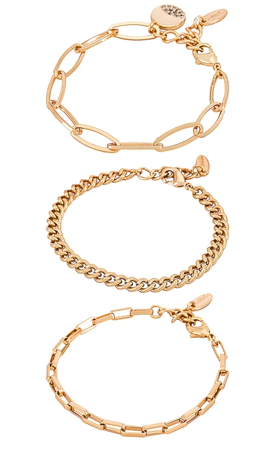 Ettika Chain Bracelet Set In Gold