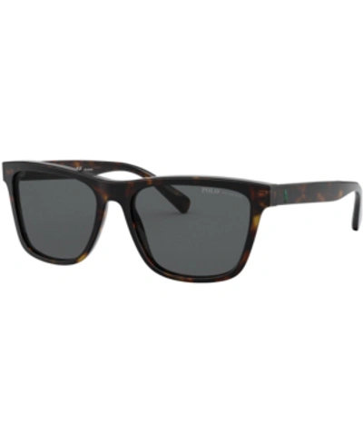 Polo Ralph Lauren Polarized Sunglasses, 0ph4167 In Dark Havana/polar Grey