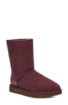 Ugg Women's Classic Short Ii Metallic-trim Booties In Wild Grape Suede