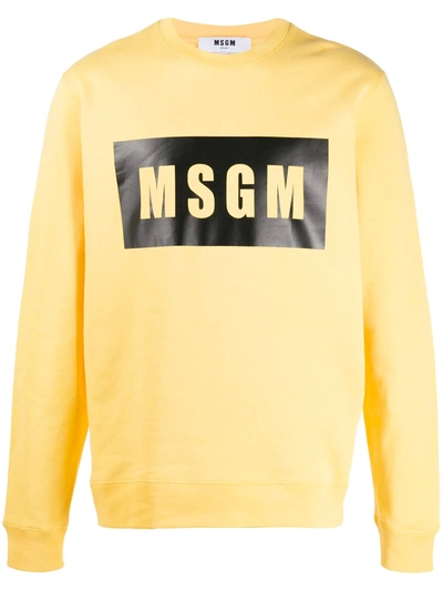 Msgm Logo-print Sweatshirt In Yellow