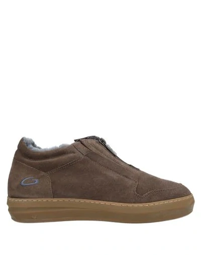 Alberto Guardiani Sneakers In Camel