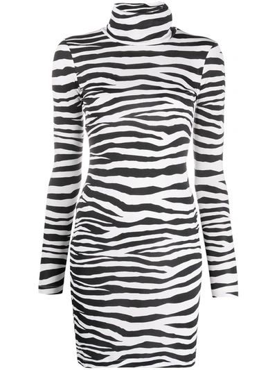 Just Cavalli High-neck Zebra Mini Dress In Black