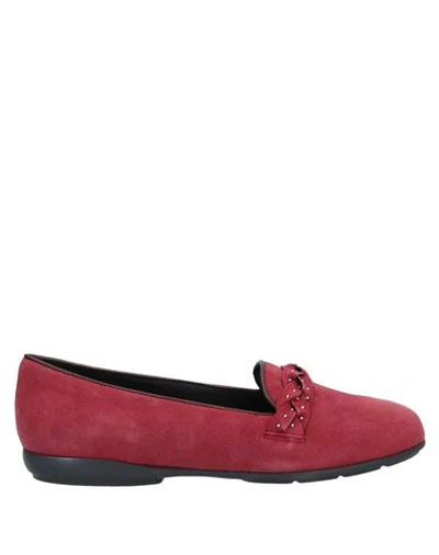 Geox Annytah Studded Loafer In Bordeaux Suede