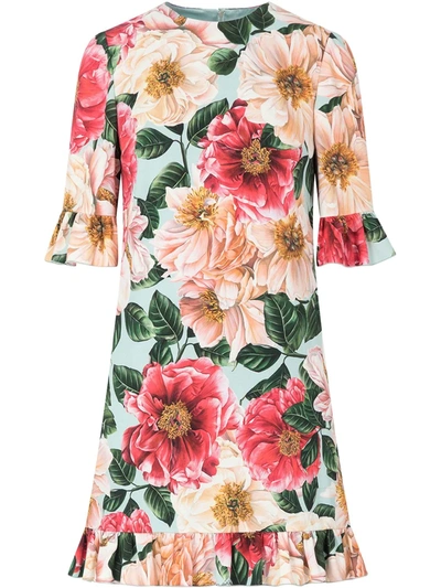 Dolce & Gabbana Camellia Print Ruffle Trim Stretch Cady Dress In Rose