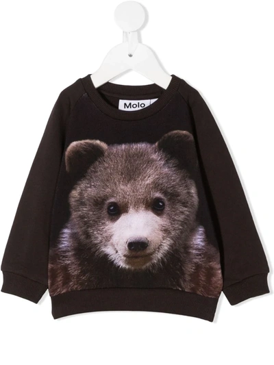 Molo Babies' Teddy Bear Print Crew Neck Sweatshirt In Brown